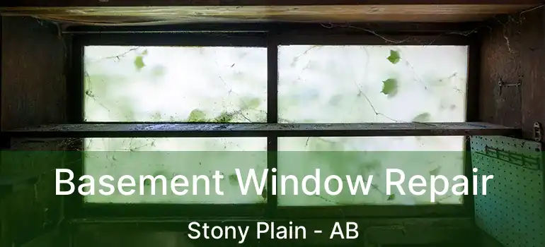 Basement Window Repair Stony Plain - AB
