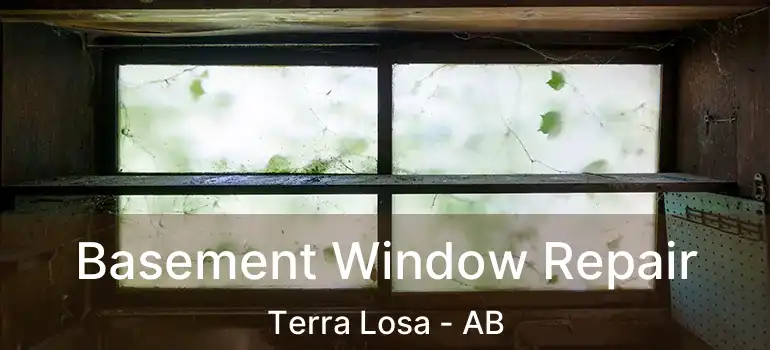  Basement Window Repair Terra Losa - AB