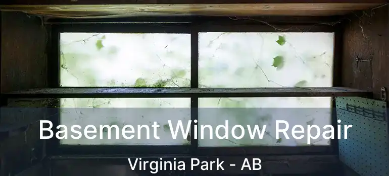  Basement Window Repair Virginia Park - AB