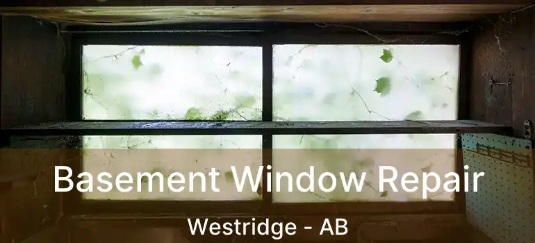  Basement Window Repair Westridge - AB