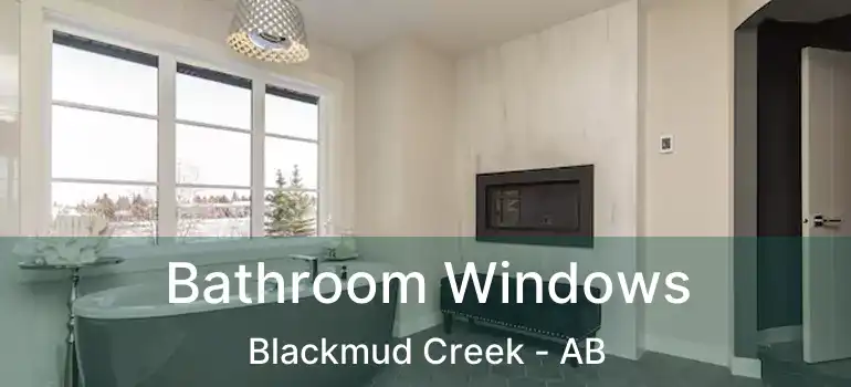  Bathroom Windows Blackmud Creek - AB