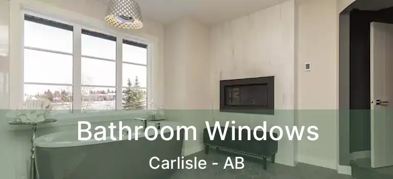  Bathroom Windows Carlisle - AB