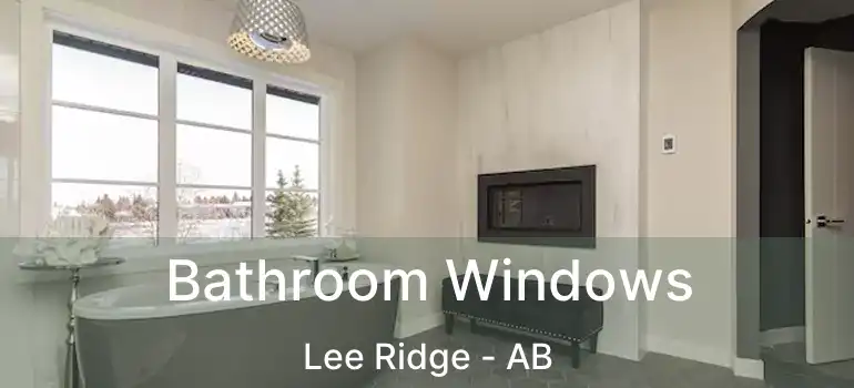  Bathroom Windows Lee Ridge - AB