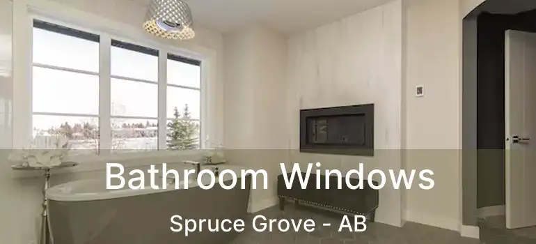  Bathroom Windows Spruce Grove - AB