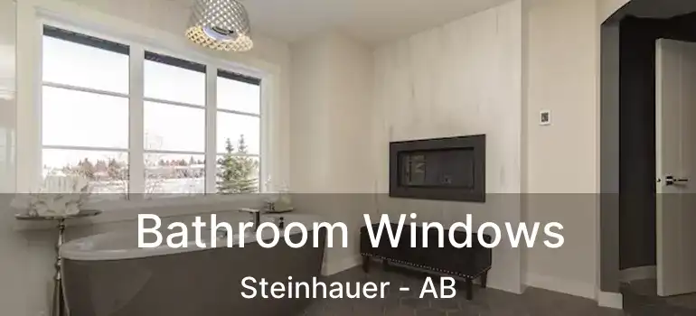  Bathroom Windows Steinhauer - AB