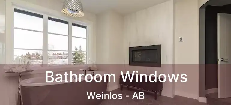  Bathroom Windows Weinlos - AB