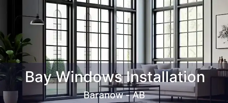  Bay Windows Installation Baranow - AB