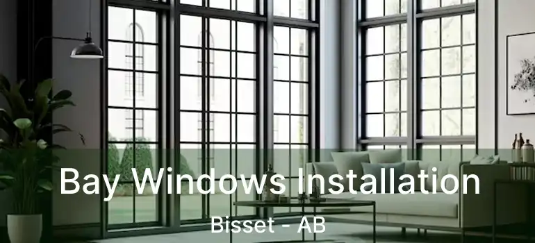  Bay Windows Installation Bisset - AB