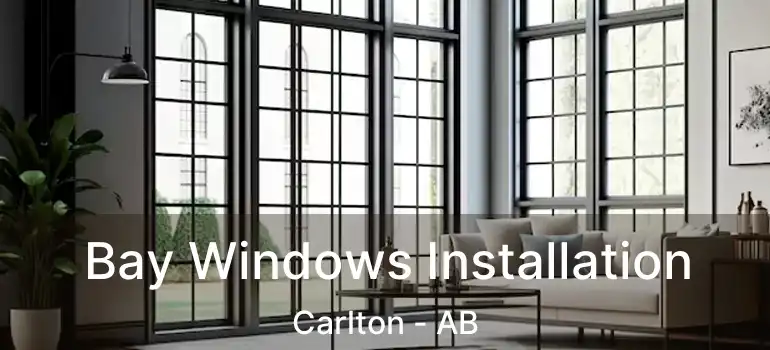  Bay Windows Installation Carlton - AB
