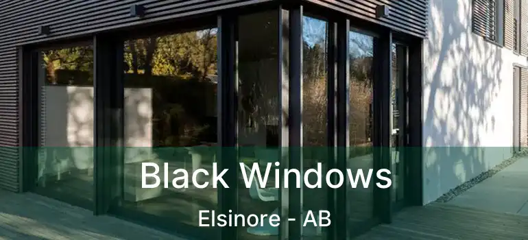  Black Windows Elsinore - AB
