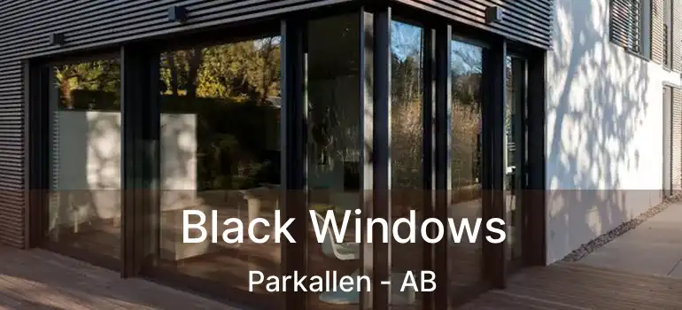  Black Windows Parkallen - AB
