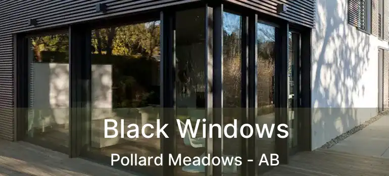  Black Windows Pollard Meadows - AB