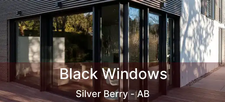  Black Windows Silver Berry - AB