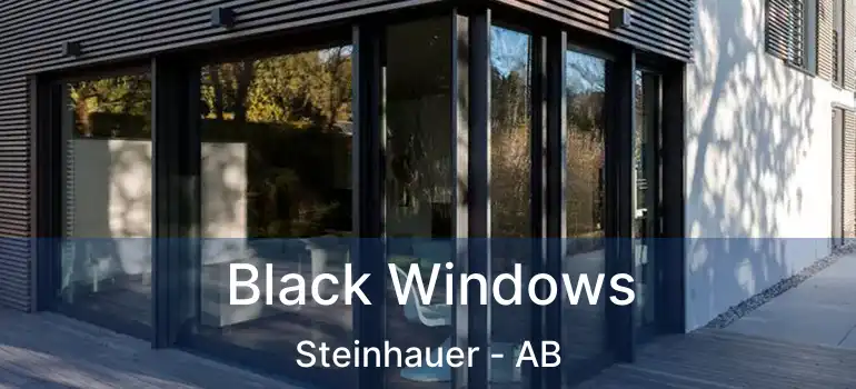  Black Windows Steinhauer - AB