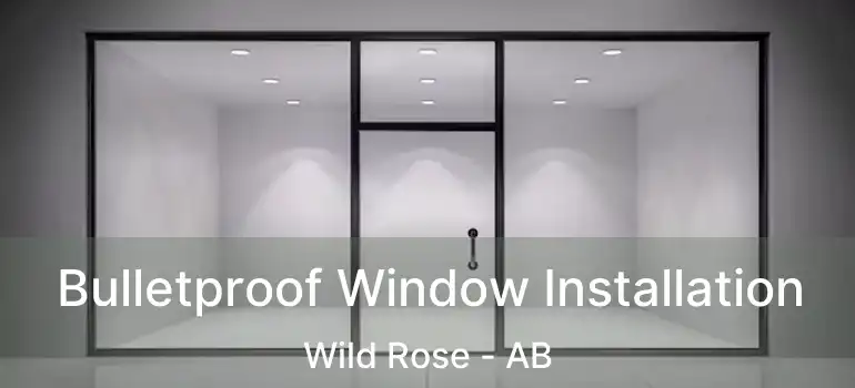  Bulletproof Window Installation Wild Rose - AB
