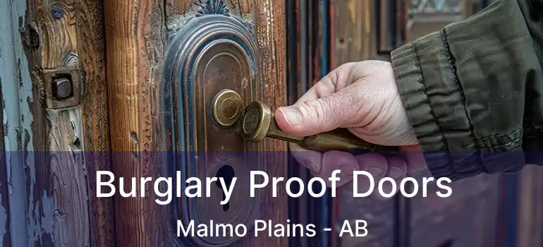  Burglary Proof Doors Malmo Plains - AB