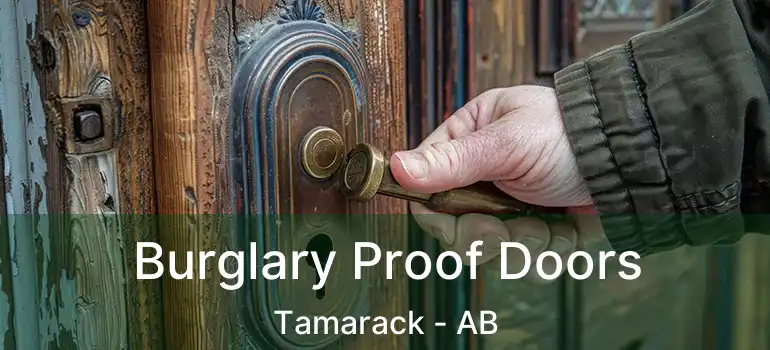  Burglary Proof Doors Tamarack - AB