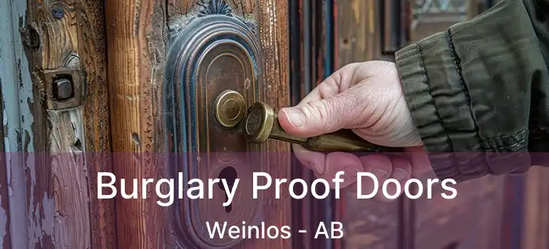  Burglary Proof Doors Weinlos - AB