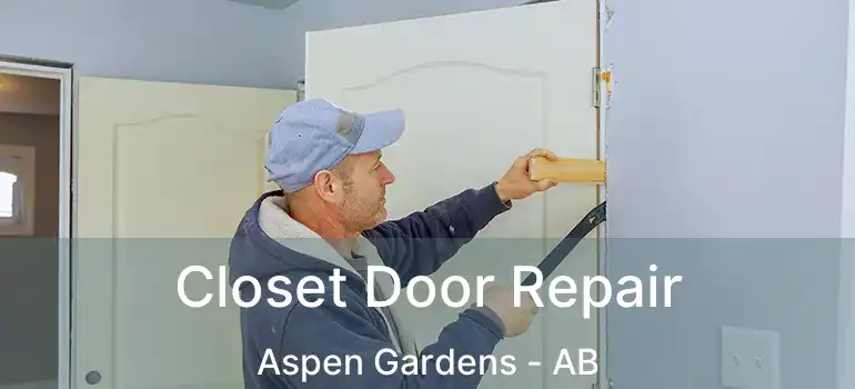  Closet Door Repair Aspen Gardens - AB