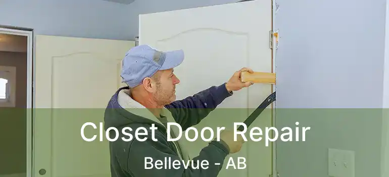  Closet Door Repair Bellevue - AB