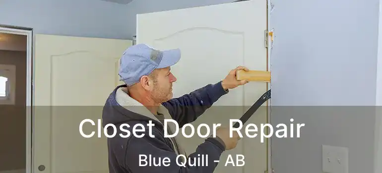  Closet Door Repair Blue Quill - AB