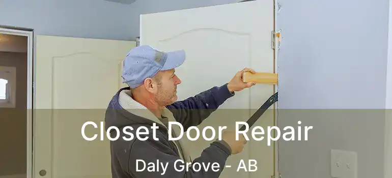  Closet Door Repair Daly Grove - AB