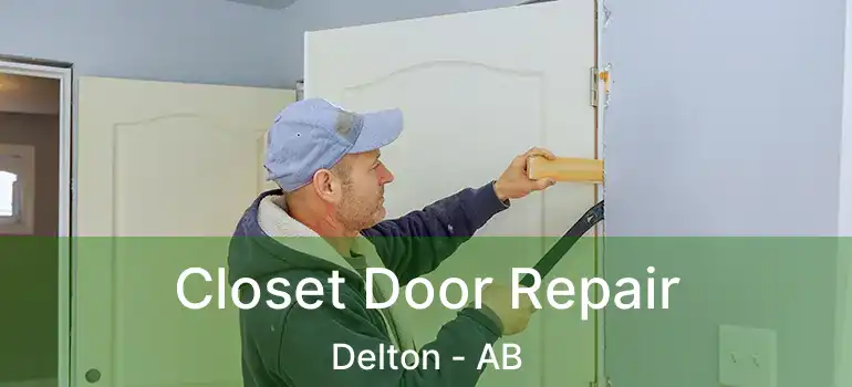  Closet Door Repair Delton - AB