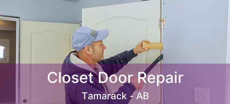  Closet Door Repair Tamarack - AB