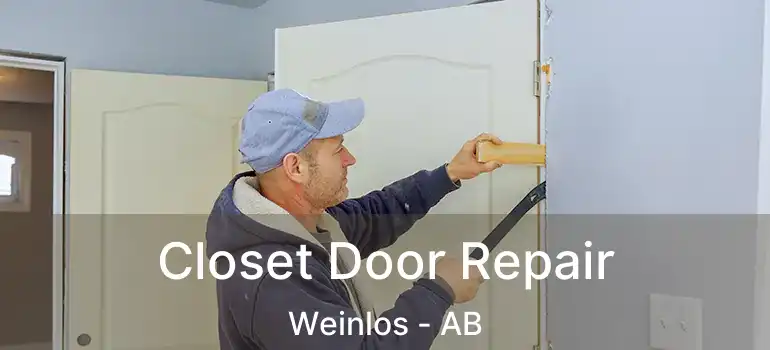  Closet Door Repair Weinlos - AB