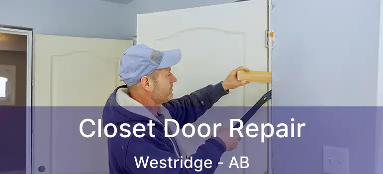  Closet Door Repair Westridge - AB
