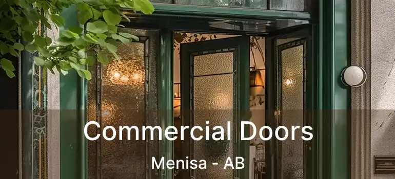  Commercial Doors Menisa - AB