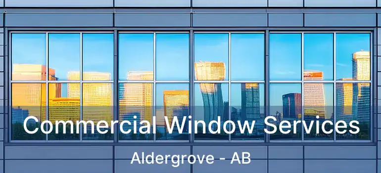  Commercial Window Services Aldergrove - AB
