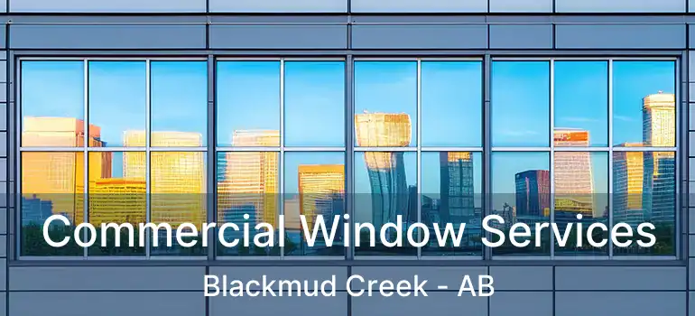  Commercial Window Services Blackmud Creek - AB