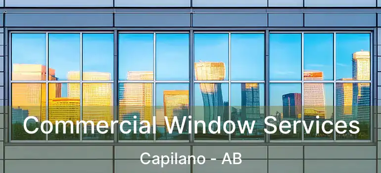  Commercial Window Services Capilano - AB