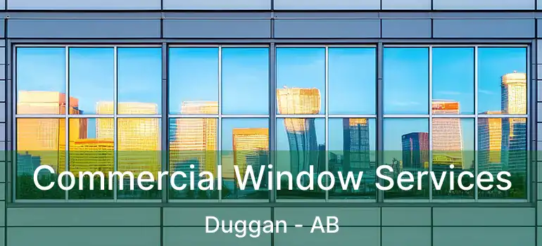  Commercial Window Services Duggan - AB