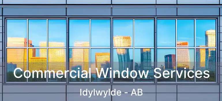  Commercial Window Services Idylwylde - AB