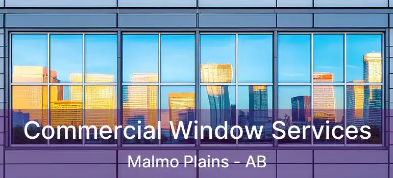  Commercial Window Services Malmo Plains - AB