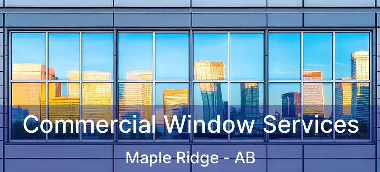  Commercial Window Services Maple Ridge - AB