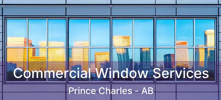  Commercial Window Services Prince Charles - AB