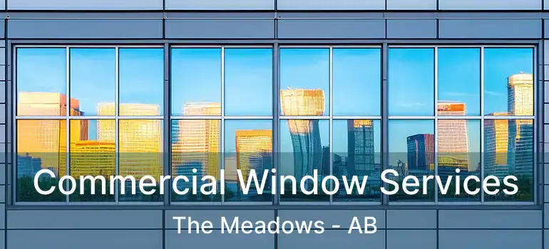  Commercial Window Services The Meadows - AB