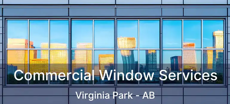  Commercial Window Services Virginia Park - AB