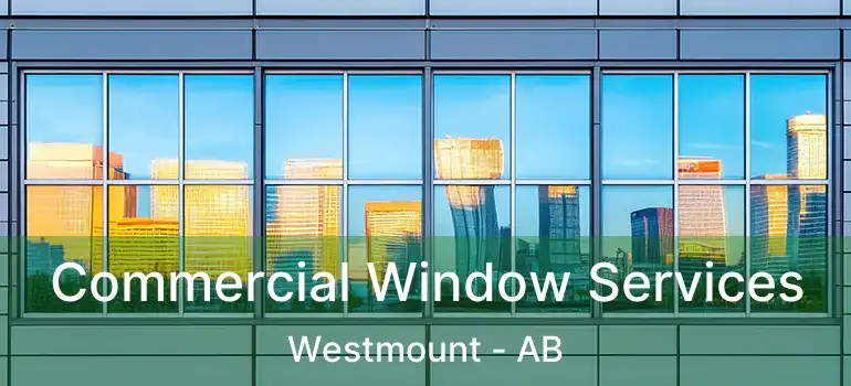  Commercial Window Services Westmount - AB