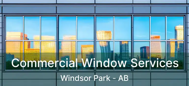  Commercial Window Services Windsor Park - AB