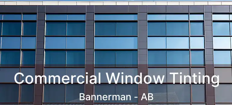  Commercial Window Tinting Bannerman - AB