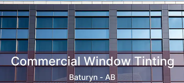  Commercial Window Tinting Baturyn - AB