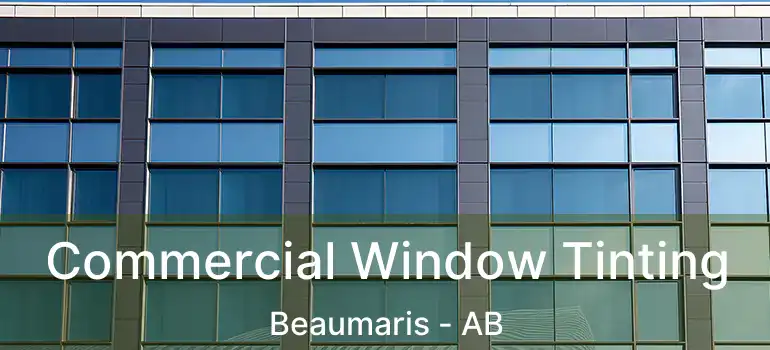  Commercial Window Tinting Beaumaris - AB