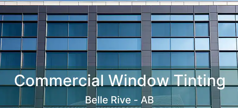  Commercial Window Tinting Belle Rive - AB
