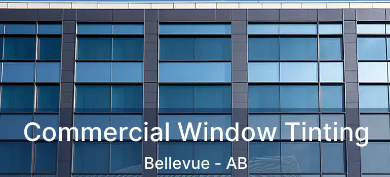  Commercial Window Tinting Bellevue - AB