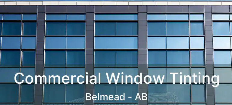  Commercial Window Tinting Belmead - AB
