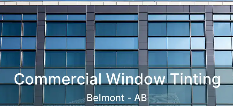  Commercial Window Tinting Belmont - AB